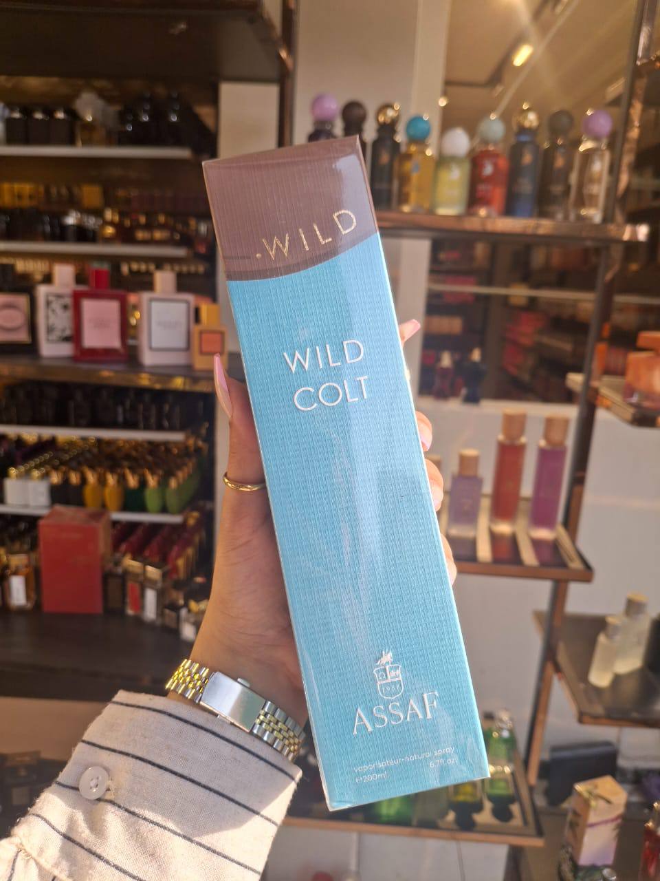 Assaf wild colt